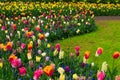 Formal spring garden Royalty Free Stock Photo