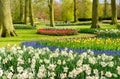 Formal spring garden Royalty Free Stock Photo