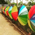 Colourful umbrella in umbrella garden