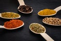 Colourful various herbs and spices on dark background Royalty Free Stock Photo