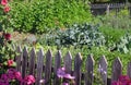 Colourful vegetable garden