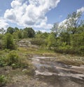 Colourful vegetation on granite bedrock under blue sky