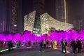 Colourful vibrant lighting on trees in China