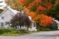 Colourful view of a village street with ancestral stone house and tall maple tree