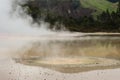 Colourful volcanic lake in Waiotapu