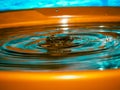 Colourful water droplet photography ideas for home