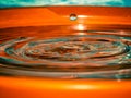 Colourful water droplet photography ideas for home