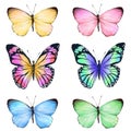 colourful watercolour style butterflies illustration Royalty Free Stock Photo
