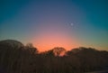 Colourful winter evening skies through the English woodland