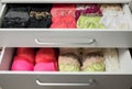 Colourful Woman`s Underwear In Drawer