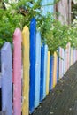 Colourful wood fence in small garden