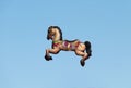 Fun Fair Carousel Horse. Royalty Free Stock Photo