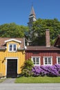 Colourful wooden residential street houses Bakklandet Trondheim