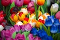 Colourful wooden tulips in amsterdam flower market Royalty Free Stock Photo