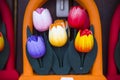 Colourful wooden tulips in amsterdam flower market Royalty Free Stock Photo