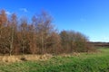 Colourful woodland landscape in the North Kent countryside Royalty Free Stock Photo