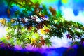 a colourful world of maple tree leaves Royalty Free Stock Photo