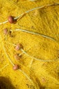 Colourful yellow fishing net