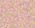 Colourfull Flowers Backdrop Creative Background Pattern