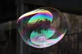 Flying soap bubbles Royalty Free Stock Photo