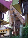 Colourfull Tongkonan in Tana Toraja