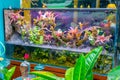 Colourfully decorated aquarium in shop front in Hanoi Old Quarters Vietnam Royalty Free Stock Photo