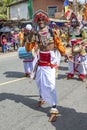 A colourfully dressed performer at the Hikkaduwa Perahara in Sri Lanka. Royalty Free Stock Photo