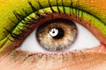 Colourfully painted eye