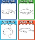 Colouring worksheet for student