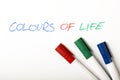Colours of Life Royalty Free Stock Photo
