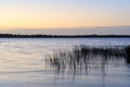 Colours Of Lough Ennell