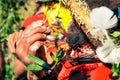 Colours on man in Papua New Guinea