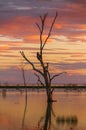 The colours of an outback sunset desert oasis Royalty Free Stock Photo