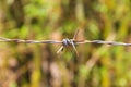 Colse up barbed fence Royalty Free Stock Photo