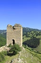 Coltesti fortress