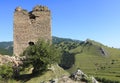 Coltesti fortress-detail Royalty Free Stock Photo