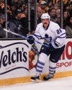 Colton Orr, Toronto Maple Leafs forward. Royalty Free Stock Photo