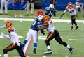 Colts-Bengals football game Royalty Free Stock Photo