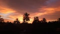 Colud red in evening with coconut tree