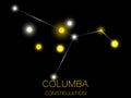 Columba constellation. Bright yellow stars in the night sky. A cluster of stars in deep space, the universe. Vector illustration