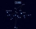 Columba constellation, vector illustration with the names of basic stars