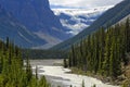 Columbia Icefield Royalty Free Stock Photo