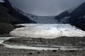 Columbia Icefield in the Banff National Park and Jasper National Park in Alberta, Canada