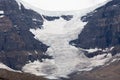 Columbia Icefield Royalty Free Stock Photo