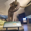 Columbia Mammoth La Brea Tar Pits Royalty Free Stock Photo