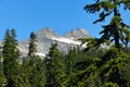 Columbia Peak in the background of fur trees in Henry M. Jackson Wilderness, Washington
