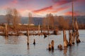 Columbia River in the gorge with Mt Hood at sunset Royalty Free Stock Photo