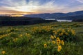 Columbia river gorge National scenic area overlook Royalty Free Stock Photo