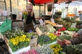 Columbia road flower market London , Uk Royalty Free Stock Photo