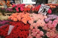 Columbia road flower market London , Uk Royalty Free Stock Photo